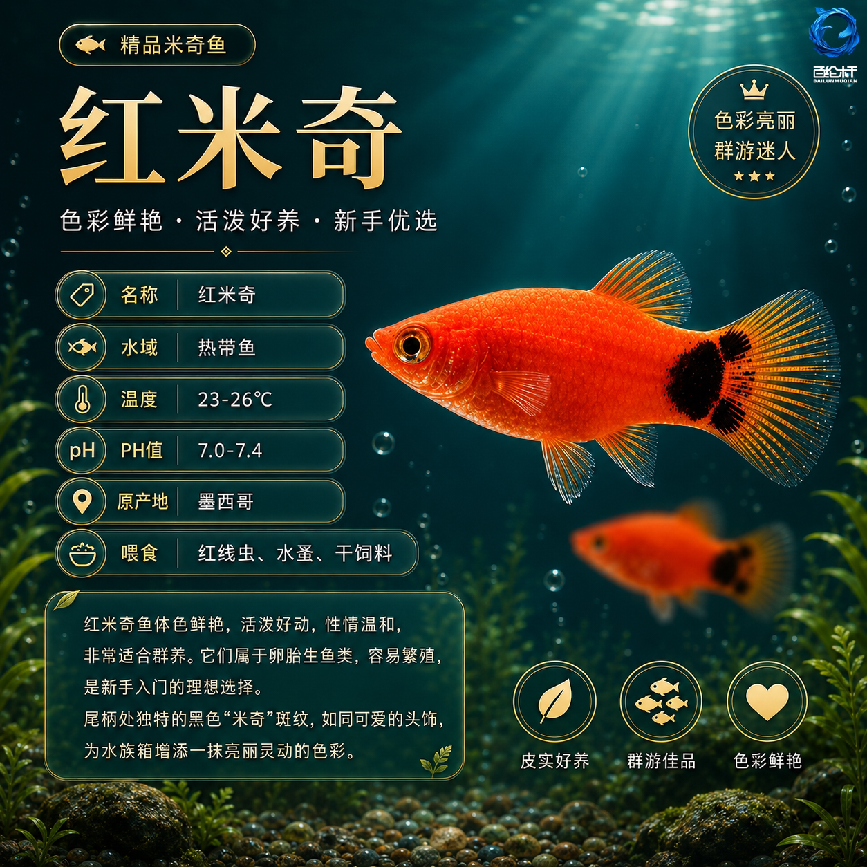 图5