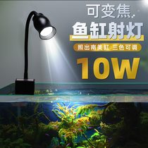 Fish tank light zoom light South American spotlight native cylinder build-up special water grass lamp led waterproof reilon floodlight