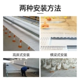 Пластины для утечки курицы, утка и гуси, выделенная густая пластиковая септическая птица с утечка