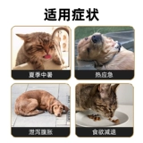 Специальная домашняя питомца Хуоксиан Чжэнки вода для ветеринарной перора