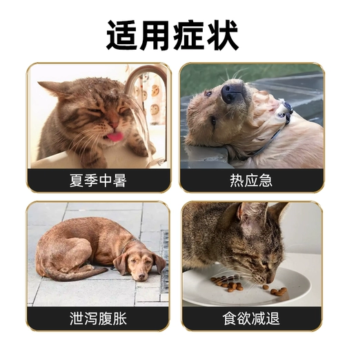 Специальная домашняя питомца Хуоксиан Чжэнки вода для ветеринарной перора