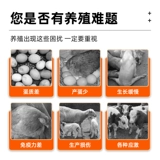 Сконцентрированная треска для печени масла куриная утиная голуба с голубь.