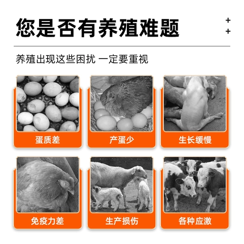 Сконцентрированная треска для печени масла куриная утиная голуба с голубь.