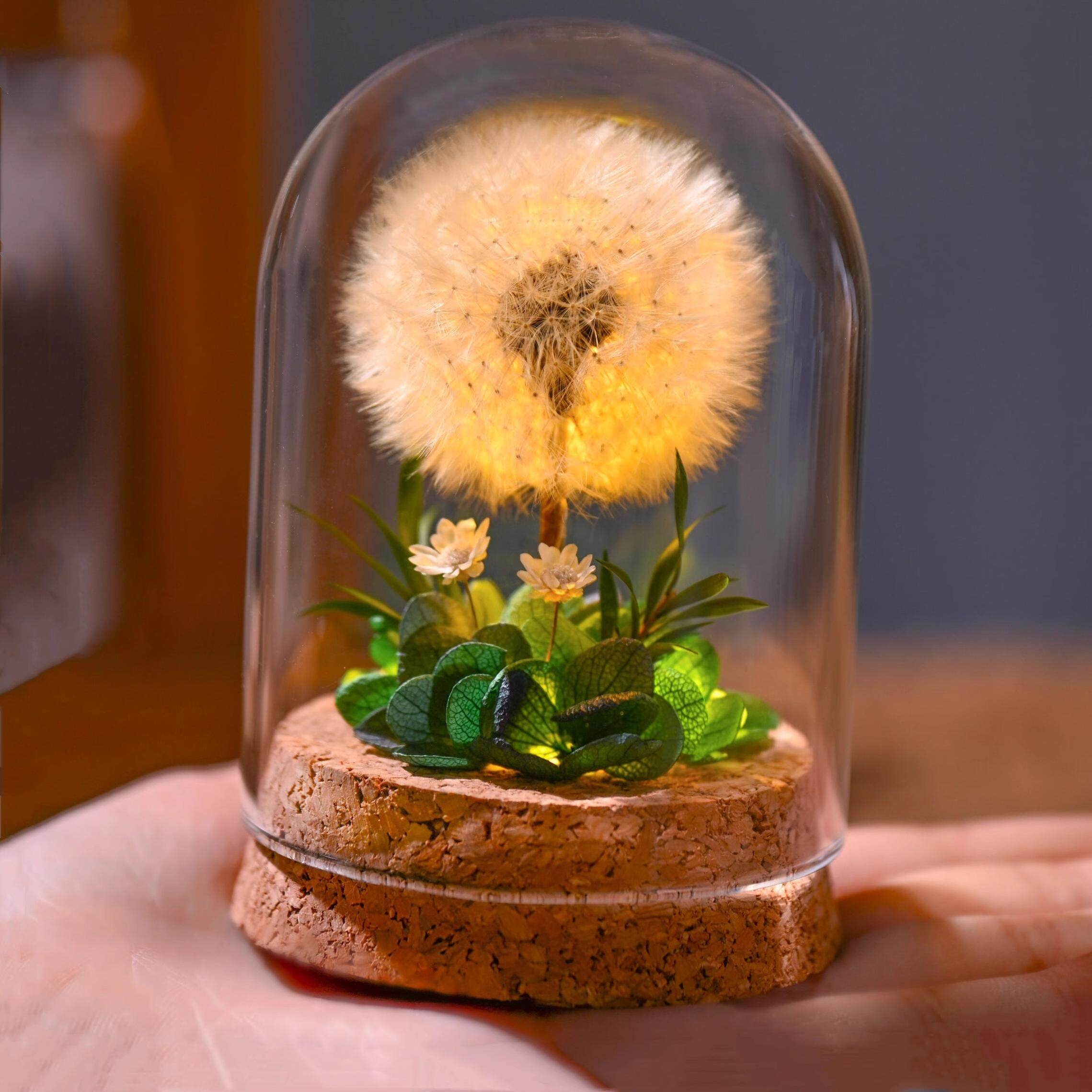 YUJIAN丨Blowball蒲公英永生干花礼物送同学女友情人节母亲丨金簪