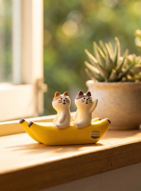 遇见丨坐香蕉船的猫猫！可爱的治