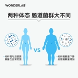 WonderLab Пробиотики B420 взрослые желудочно -кишечные пробиотические пробиотические бассейны 10 бутылок