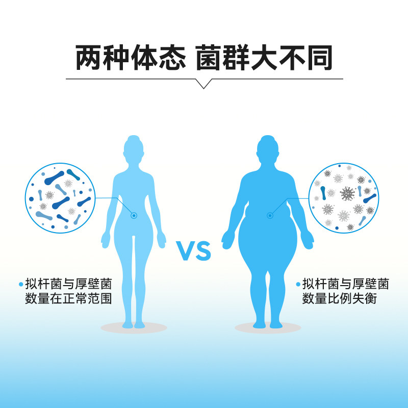 wonderlab b420成年大人肠道益生菌 WonderLab万益蓝益生菌