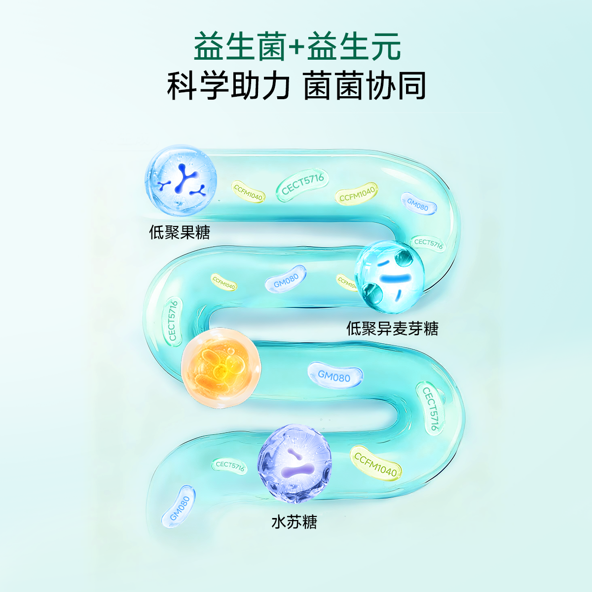万益蓝grow儿童益生菌敏宝舒™肠胃杆菌鼻子敏感wonderlab官方