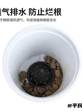 防烂根排水垫片园艺孔垫锥形透气