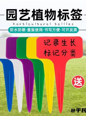 标识花卉专用加厚插牌指示多肉