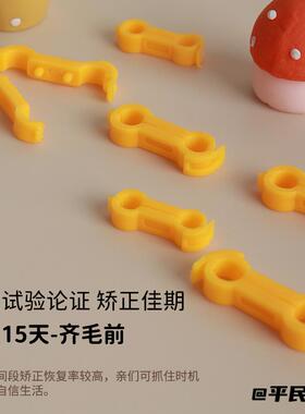 芦丁鸡小太阳八字腿康复辅助鹦鹉