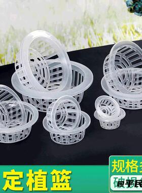 定植篮花盆水培植物玻璃花瓶绿萝
