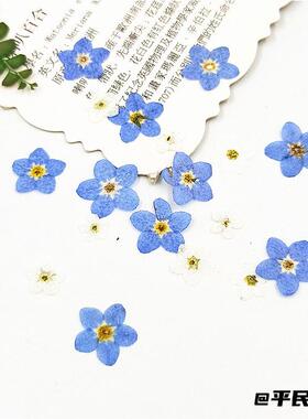 手工书签紫色干花diy材料压花画
