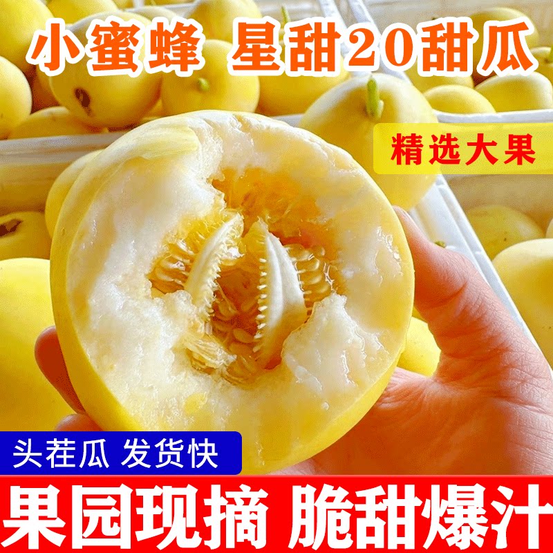 山东头茬甜瓜小蜜蜂蜜罐甜瓜星甜20新鲜孕妇水果当季小香瓜甜蜜瓜