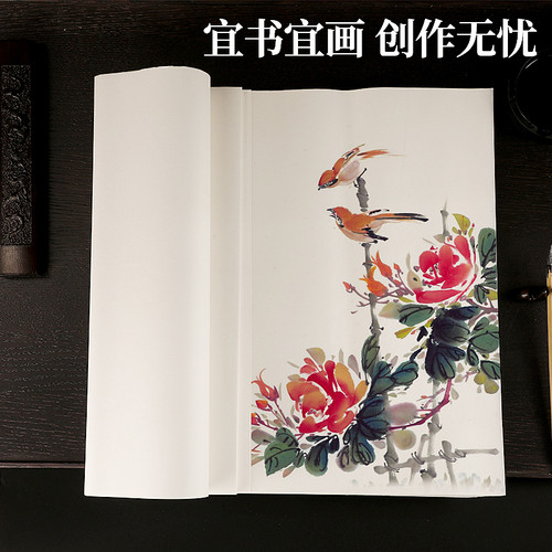 雅涵四尺半生熟纸批发100张生纸书法国画工笔画小楷初学者练习纸 - 图0