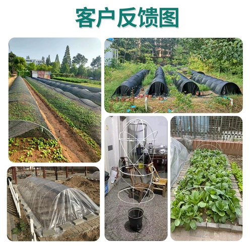 Стеклянная трубка, скелет, сельскохозяйственный стеклянный термос