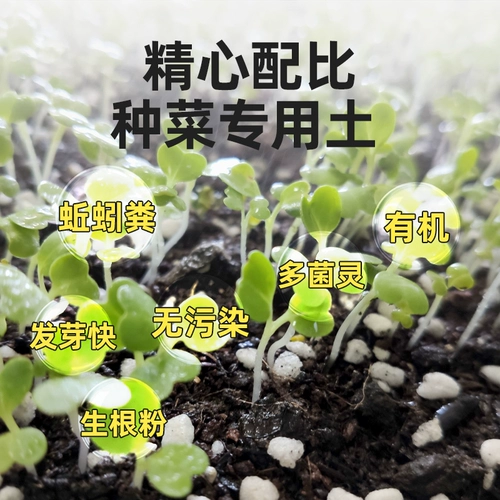 Пищевые местные растительные сады посадка овощные цветы и растения органические овощные овощные