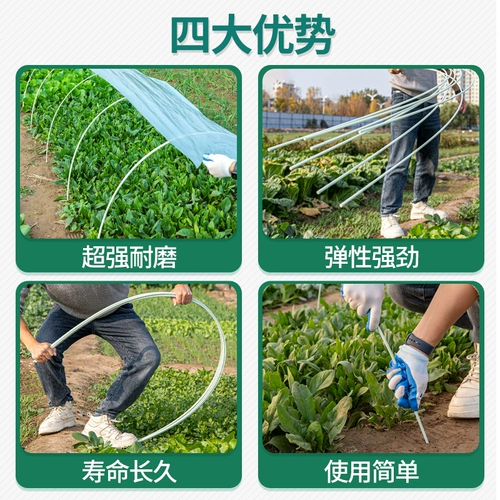 Стеклянная трубка, скелет, сельскохозяйственный стеклянный термос