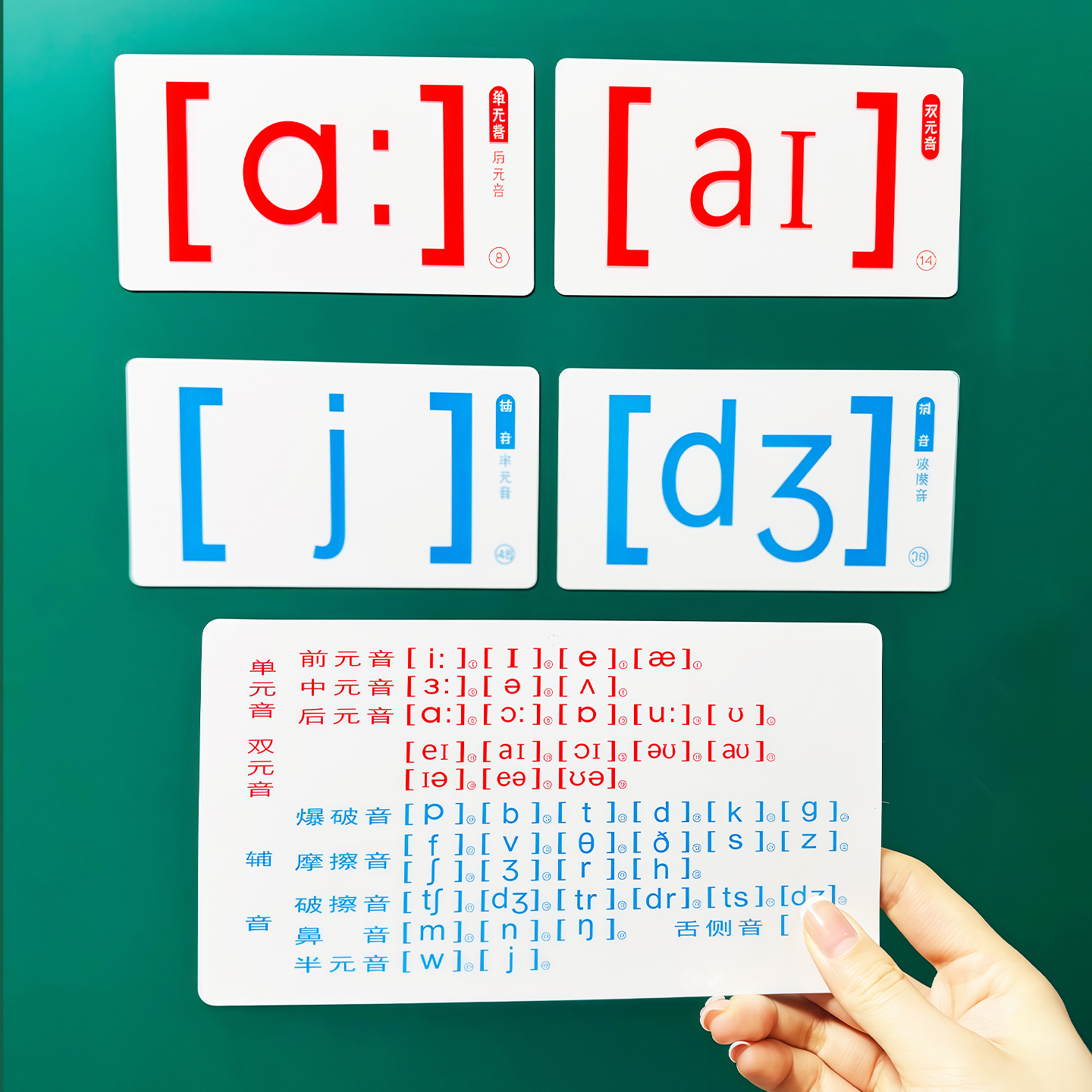 小学英语文教师教学专用大号48个国际音标卡片磁性吸力黑板贴教具 - 图1