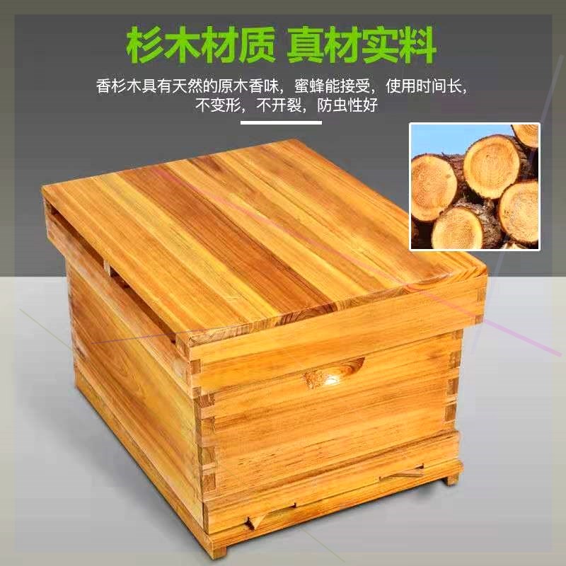 箱全套杉木煮蜡标蜂十框中蜂箱诱蜂桶养蜂Q工具带巢础蜜准箱子