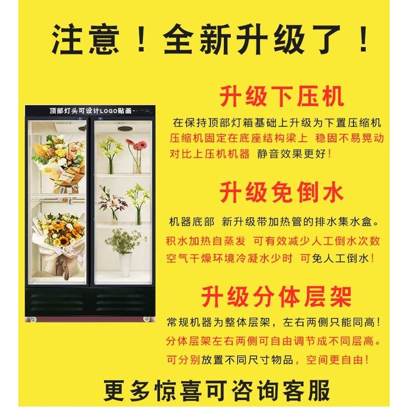 商用双门鲜花保鲜柜花店展示柜立式风冷三门冰箱花束专用冷藏冰柜-图0