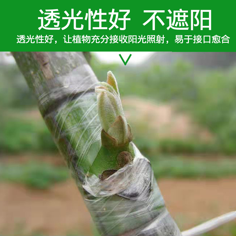 嫁接膜专用膜PE小膜果数园林农用包扎带无需打结薄膜自粘膜包邮 - 图0