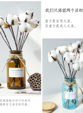 网红ins小花瓶家居装饰