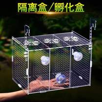 Crystal Shrimp Separator Propagation Box Freshly Isolated Isolated Case Trig Breeding Tropical Fish Production House Hatchbox Small