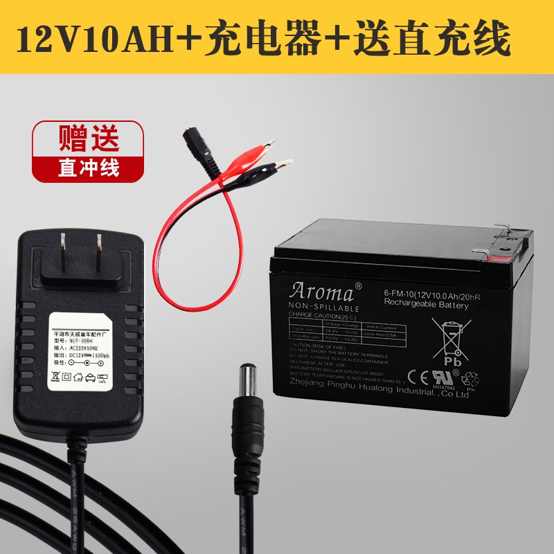 6-FM-10(12V10.0Ah20hR)儿童电动车汽车童车蓄电池玩具 - 图0