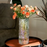 Ins ind wind nordic simple net red glass flower bottle phantom hydroponic plant Flower Room