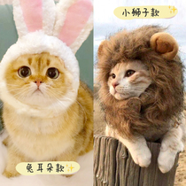 Can be approved with colorful nets Red Pet Cat Rabbit Ears Lion Head Set Rabbit Hat Adorable Birthday Christmas Headwear