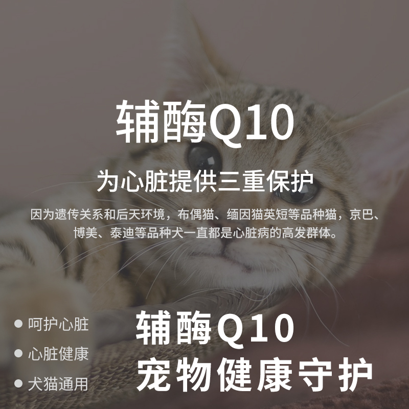 Petosing派特仕辅酶Q10宠物猫咪狗狗保护心脏健康辅助调理强心脏