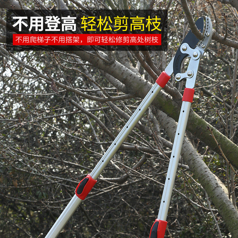 园林修枝剪枝剪刀果树修剪树枝园艺园林省力大力剪强力修树好工具_虎窝淘