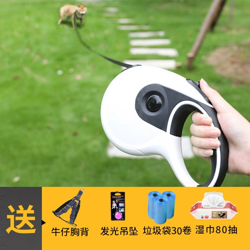 ПЭТ -собака Автоматическая телескопическая цепь собак