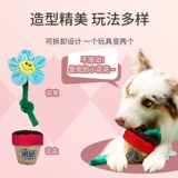 [Love Pet Dress] Gigwi-это собачный цветок-букет (только дисплей)