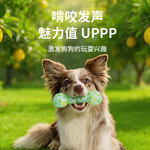GiGwi贵为狗狗玩具发声骨头磨牙耐咬泰迪金毛柯基自嗨解闷神器 - 图2