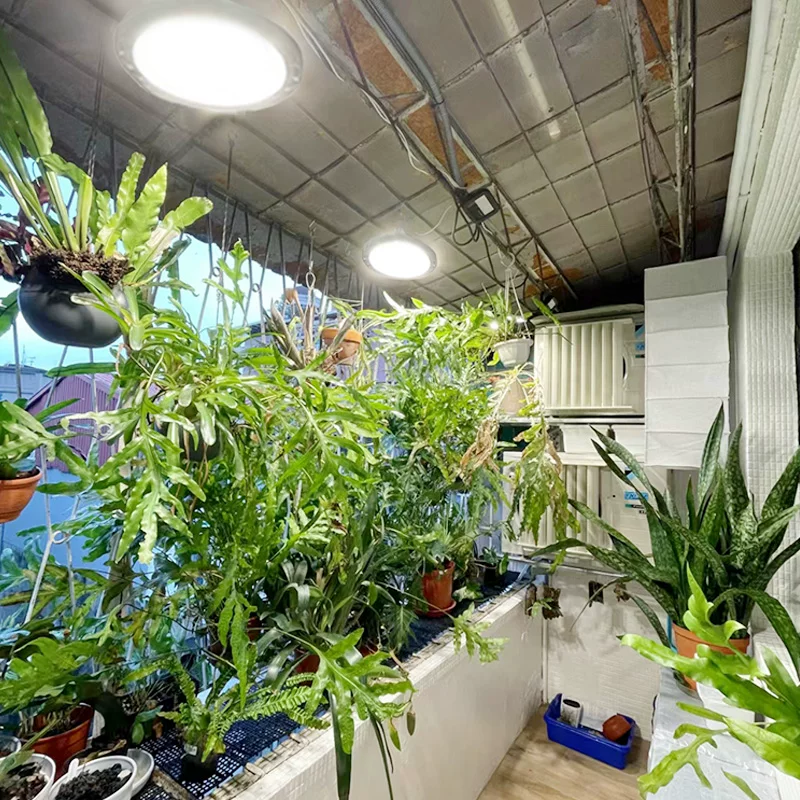 Fill light for gazebo solar-powered, comfortable light spectrum, orchid