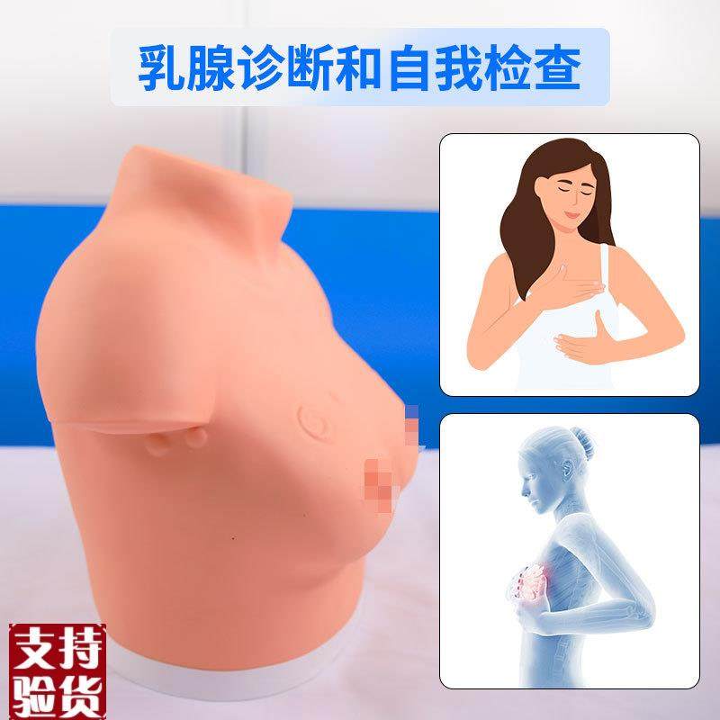 医博BIX-F7B高级乳腺视诊与触z诊模型乳房检查模型乳房乳腺病变检 - 图1