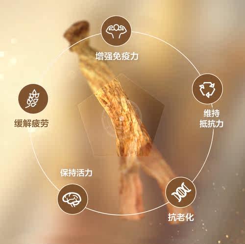 韩国高丽参胶囊滋补五脏益血人参精华滋补品提神提气美国原装进口 - 图0