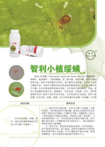 顺丰速运~智利小植绥螨   天敌防控   红蜘蛛 - 图1