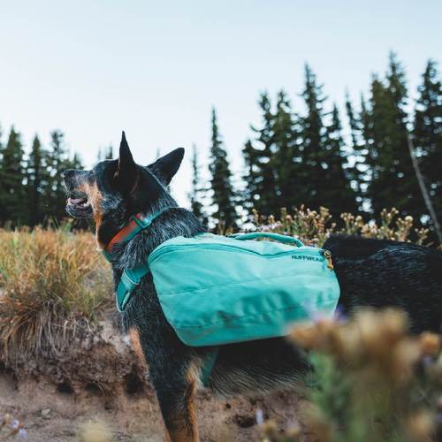 拉夫威尔福朗特日用背包RW狗狗户外自背包大容量宠物用品 - 图3