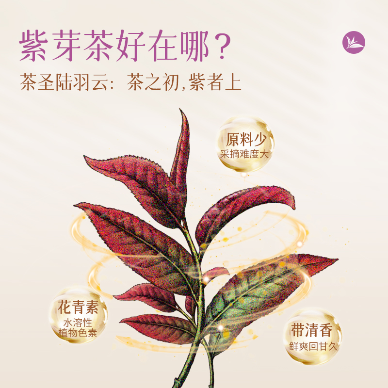 【新品】澜沧古茶2024年紫芽生茶小萌饼普洱茶生普小茶饼茶叶盒装 - 图3