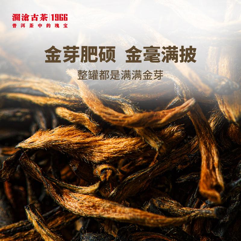 【顺丰】澜沧古茶2021年茶妈妈金丝红红茶滇红高山红茶叶100g