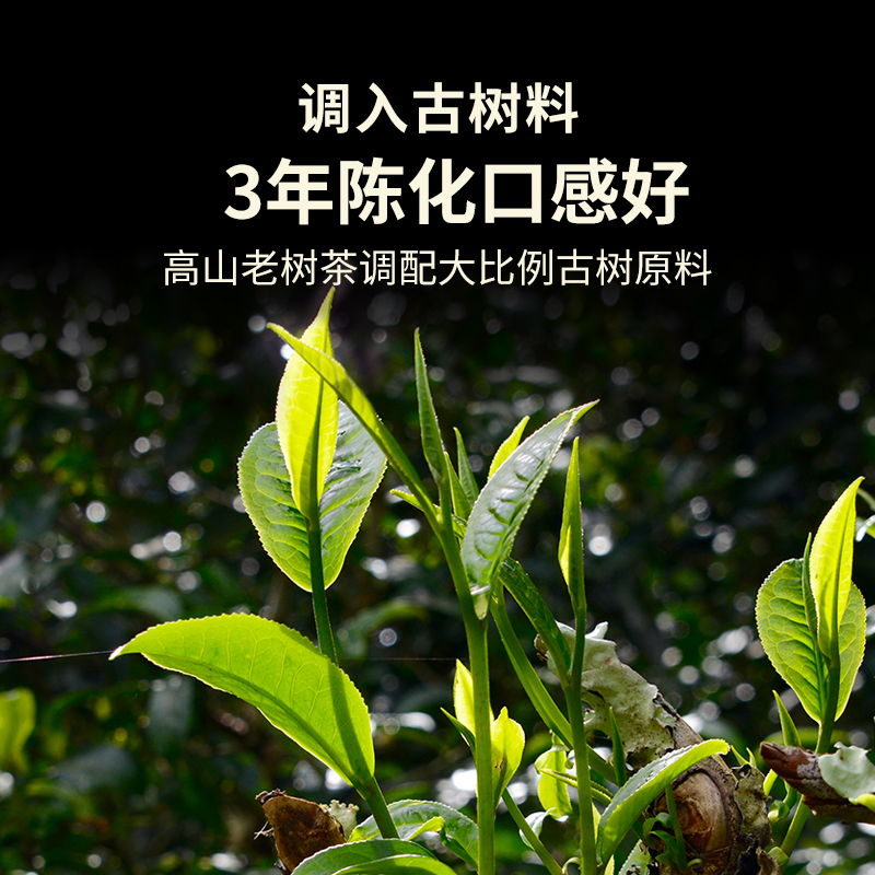 【品牌直营】澜沧古茶21年经典007普洱生茶生普云南高山茶饼200g - 图1