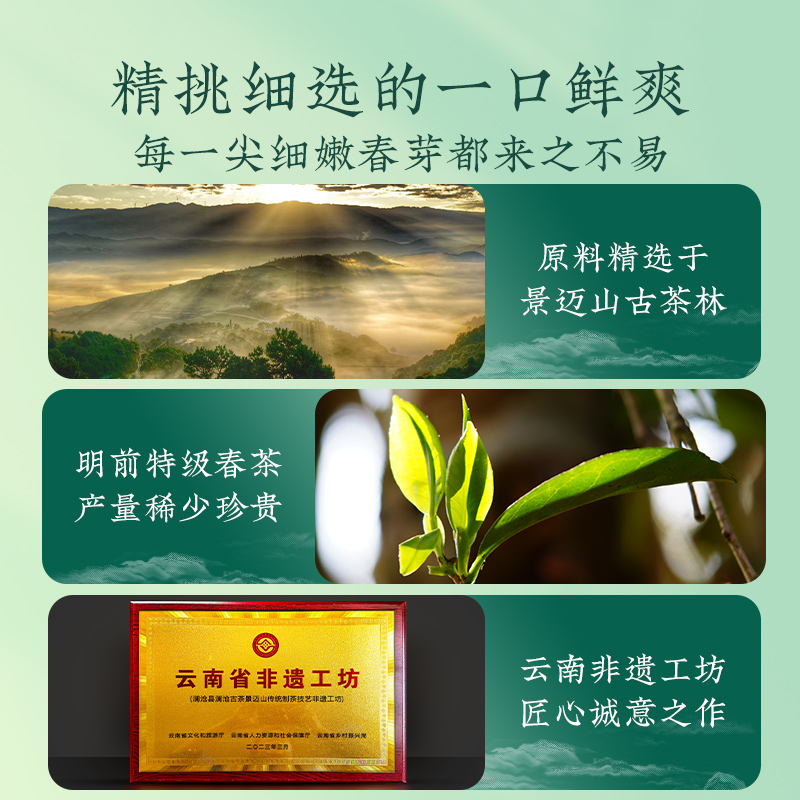 【新品】澜沧古茶2024年景迈春蕊明前春茶普洱生茶生普茶3g×20-图1