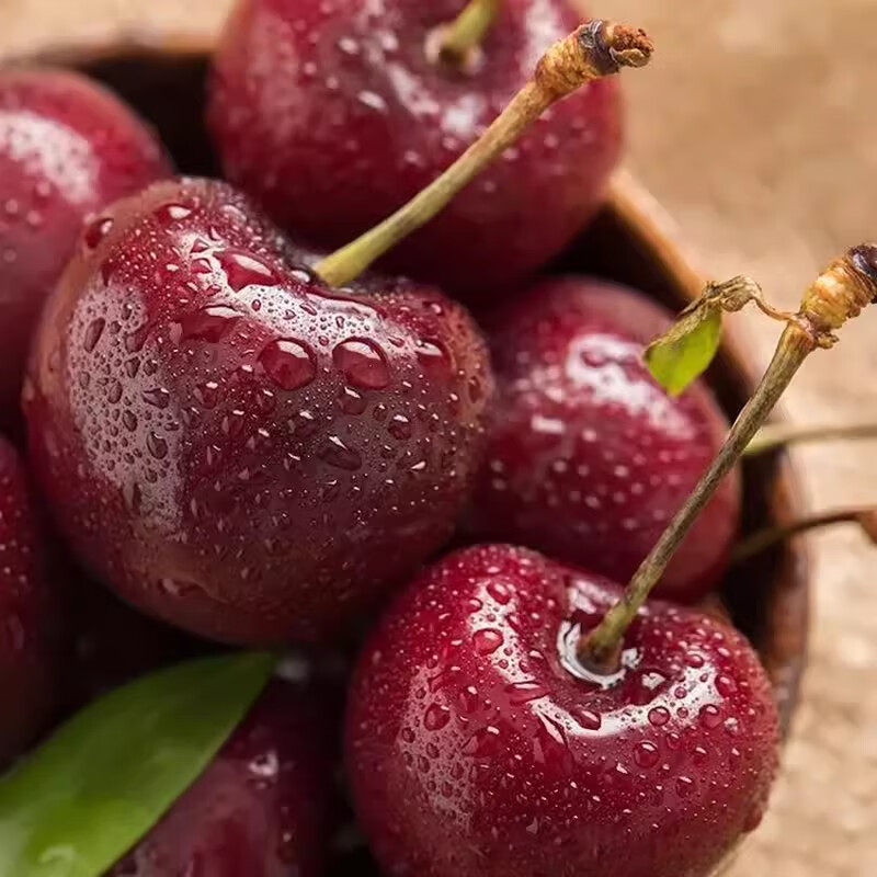 吉制智利进口车厘子空运新鲜原箱JJJ10斤礼盒装车厘子顺丰次日达,淘宝优惠券,粉丝福利购,淘宝优惠卷