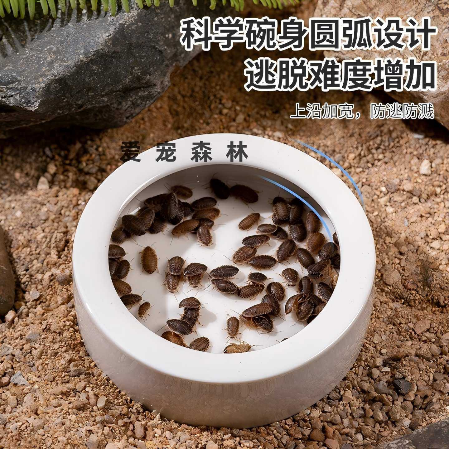 爬宠水盆睫角守宫食盆鬃狮蜥专用蟋蟀面包虫杜比亚蟑螂防逃脱食盆,淘宝优惠券,粉丝福利购,淘宝优惠卷
