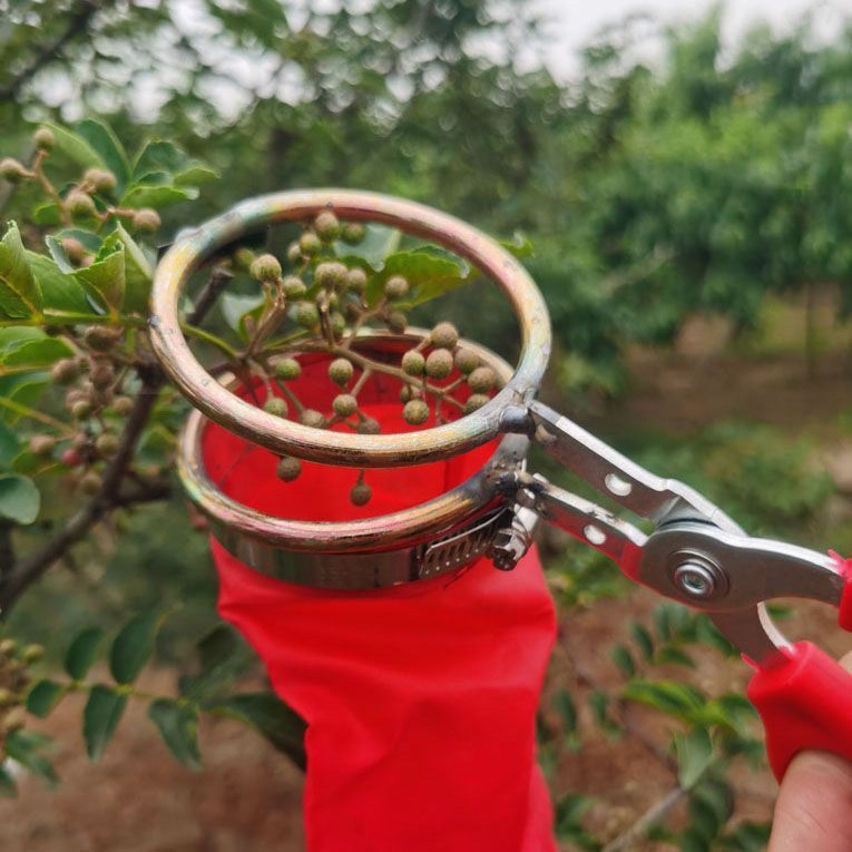 新款采摘花椒神器专用剪刀工具网兜葡萄枝剪叶采果剪茶叶拇指草莓 - 图2