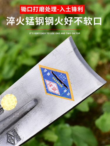 农用条锄头刨地镢头老式除草锰钢家用除草种菜农具加长柄重庆工具 - 图2