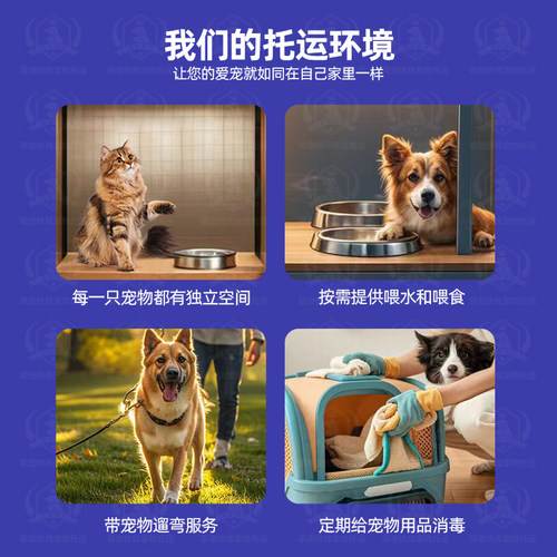 国内国际宠物托运港澳台宠物托运专线 - 图3